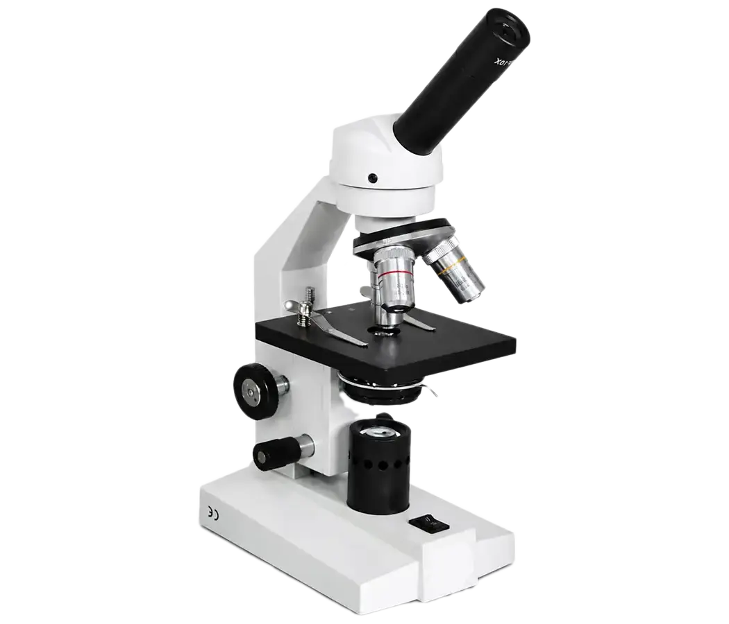 microscopiosinfondo333resize